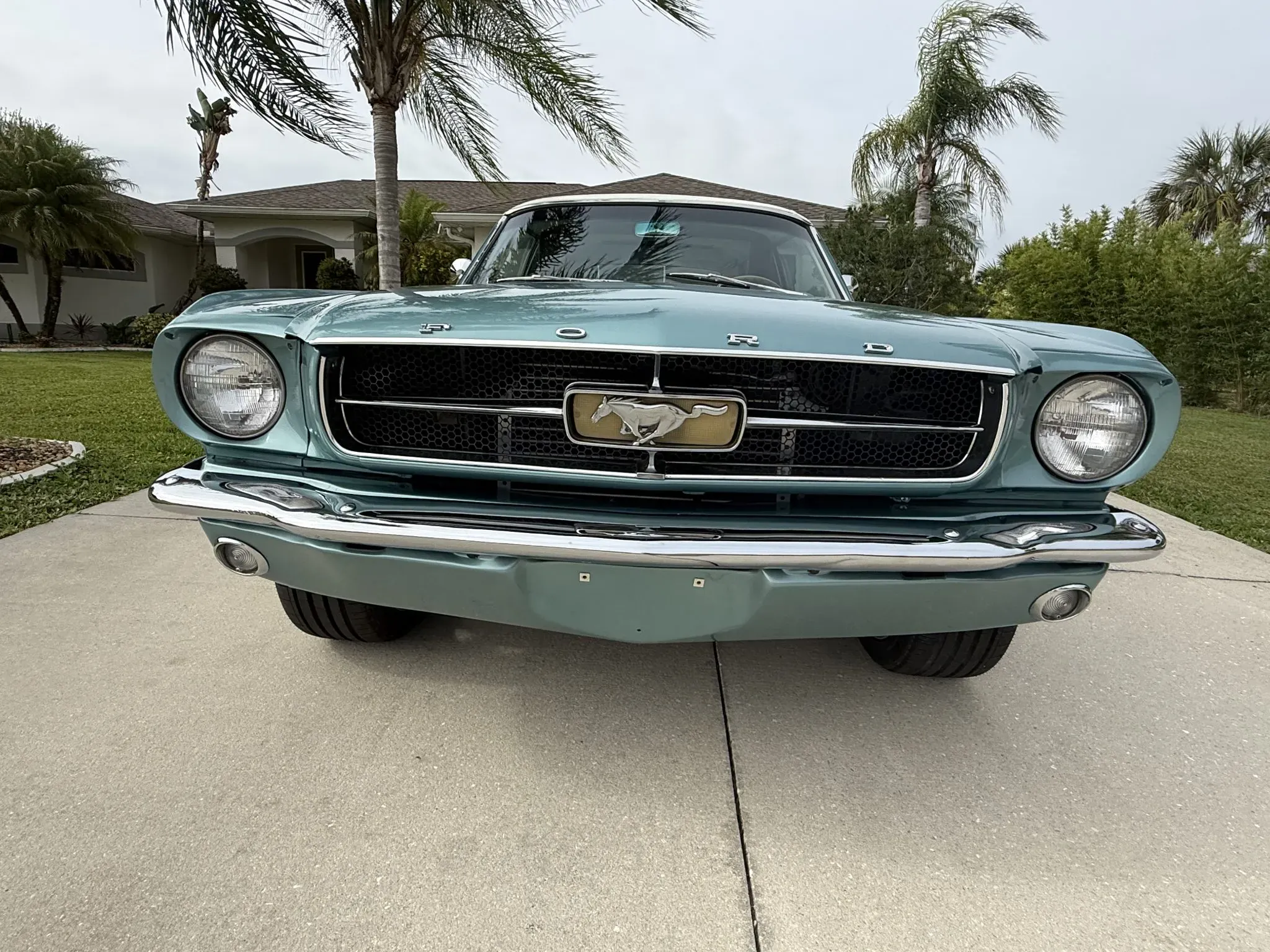 Восьмерка Seat 1966 Mustang с задними дверями, сделанными из передних дверей, поступает на рынок